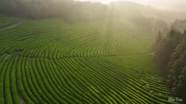  안양 사회복지사자격증학원 , 사회복지사2급 비전공자도 온라인 과정으로 손쉽게