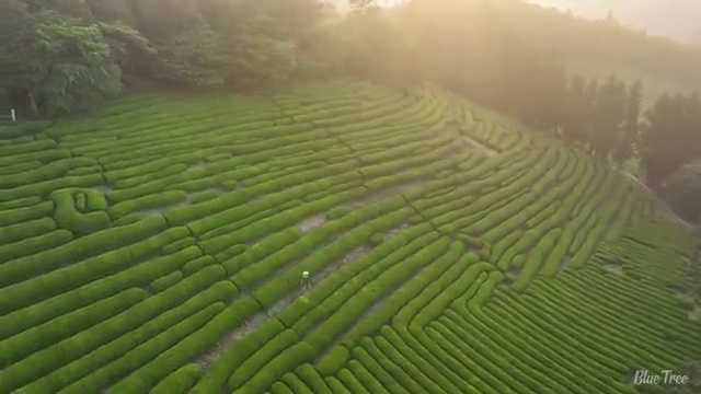  사회복지사 ~ 사회복지사 중년 직장인도 인강으로 쉽고 빠르게