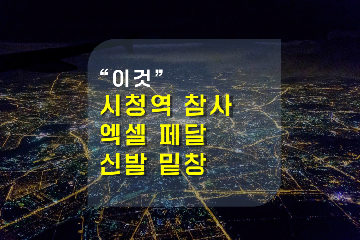 '<b>시청역</b> 9명의 사망자' <b>운전자</b>의 '이것 '이 단서