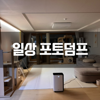  [일상 포토덤프] 제목 없음ㅇ_ㅇ..