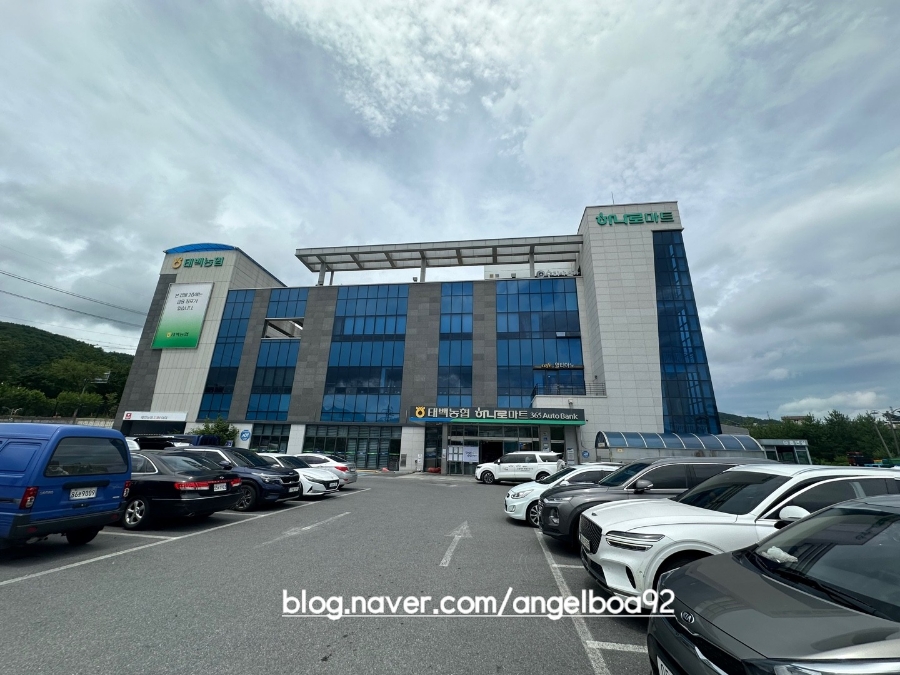 태백농협 하나로마트 본점 사진 1