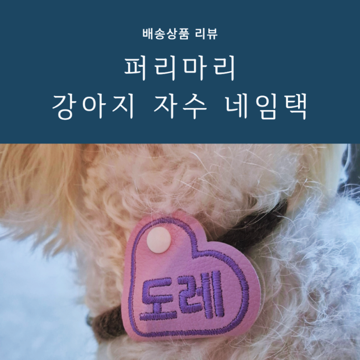 산책필수템 강아지인식표 쉽게 탈부착되는 자수 네임택 산책필수템 강아지인식표 쉽게 탈부착되는 자수 네임택