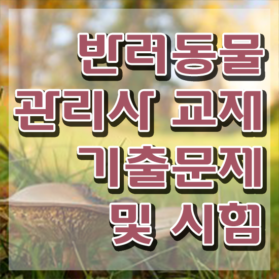  대구 강아지 훈련사 , 반려동물관리사 자격증 15일 만에 취득한 정보 및 취업