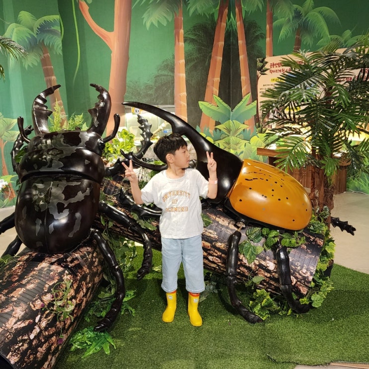  여주 곤충박물관 체험, 장수풍뎅이 배틀 시간, 볼거리