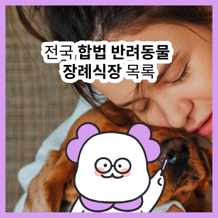  전국 합법 반려동물 장례식장 리스트