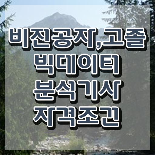  빅데이터 분석 기사취업 빅데이터분석기사 시험자격 인강만 듣고 간편하게 성공한 노하우