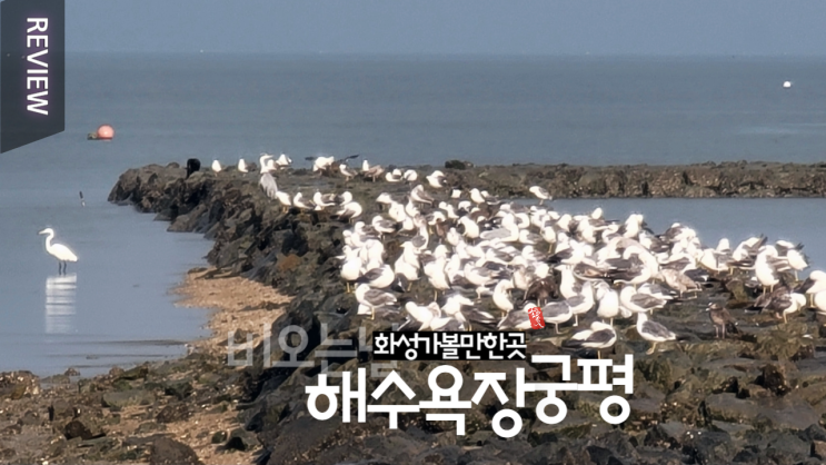  비오는날 가볼만한 곳 _ 바닷가 맨발걷기 궁평해수욕장 _ 주차장 화장실 정보