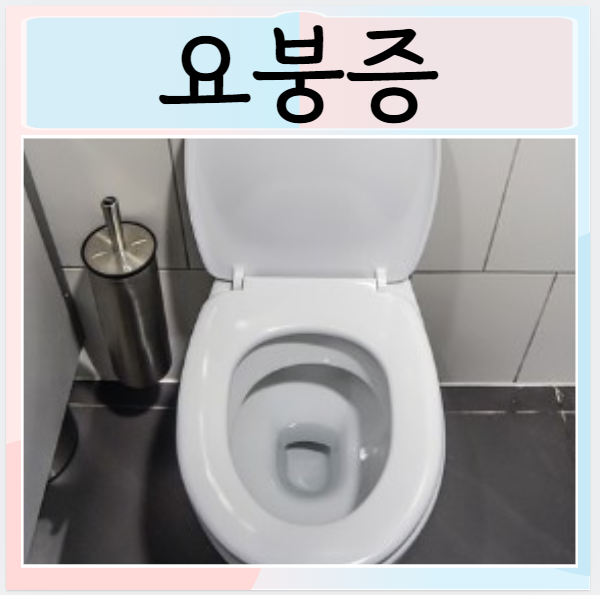  요붕증 원인 검사 치료 증상은? 야간배뇨