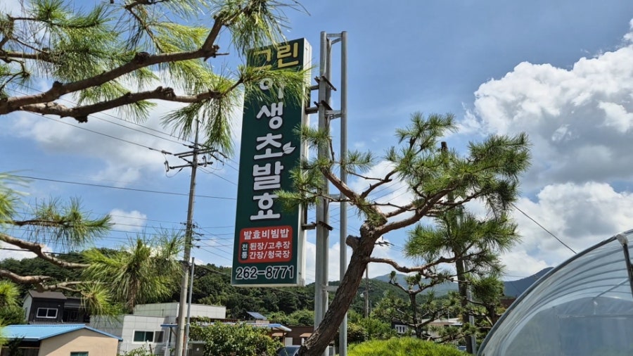 그린야생초발효 사진 1