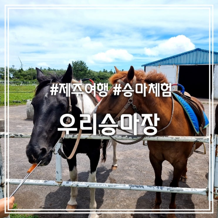우리승마장 || 제주 여행 서귀포 승마체험 말 타고 먹이 주고 (feat.제주올패스) 우리승마장 || 제주 여행 서귀포 승마체험 말 타고 먹이 주고 (feat.제주올패스)
