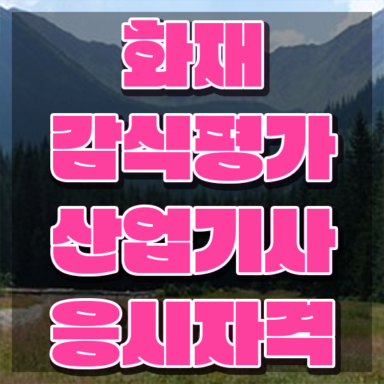  화재감식평가기사 자격 요건 화재감식평가기사 시험응시조건 온라인 수업으로 5개월 만에 성공한 방법