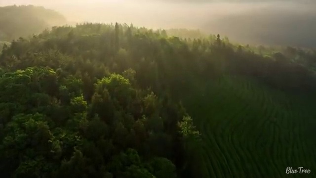  여수 경북대 사회복지학과 사회복지사2급 직장인도 학점은행제 인강으로 간편하게