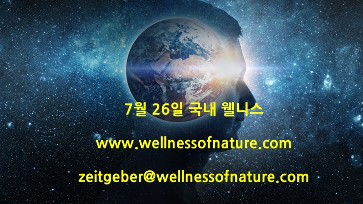  2024년 7월 26일 국내 웰니스 소식