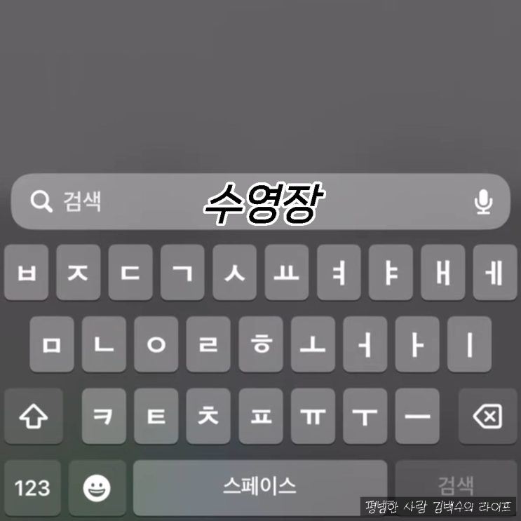  김백수의 지극히 평범한 아이폰 사진 검색하기; 수영장