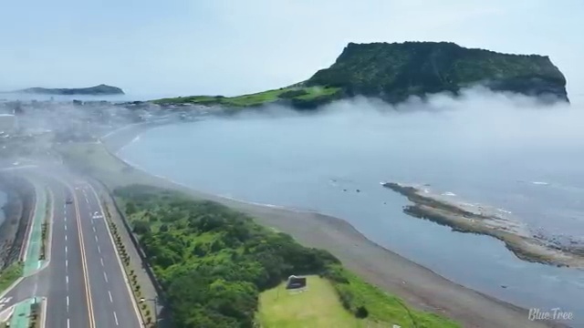  산림기사 학점 산림기사 자격요건 온라인 과정으로 5달만에 완료한 노하우