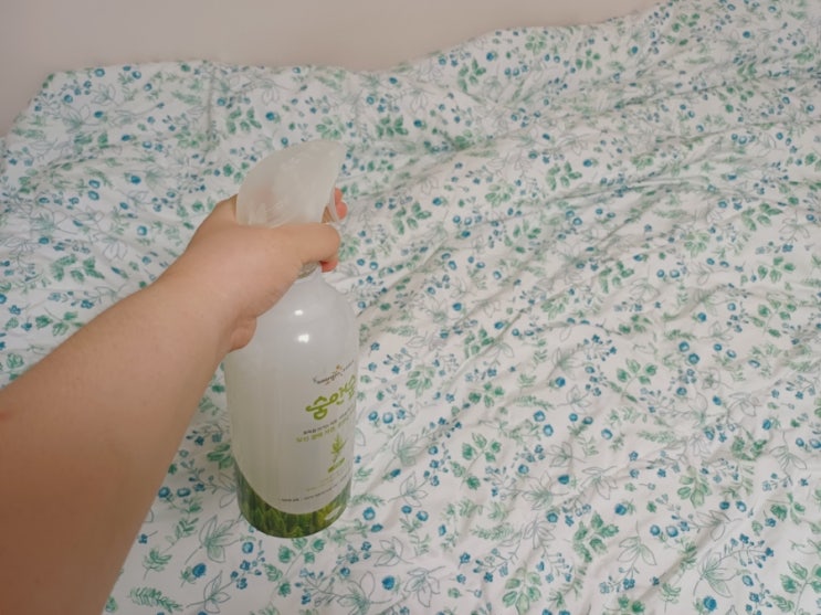  천연 편백오일 섬유탈취제 웅진 숨앤숲 피톤치드 탈취제 추천