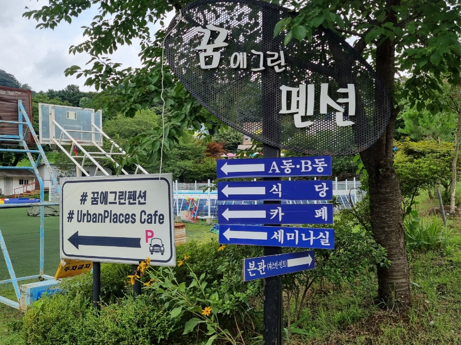 퍼플트리 사진 2