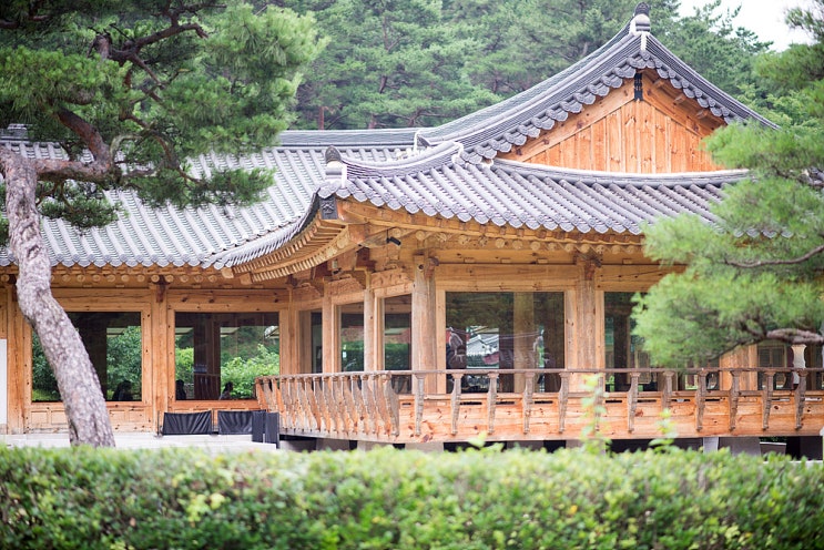  대구 달성군 한옥카페 묘운 육신사 배롱나무 보고 차 한 잔