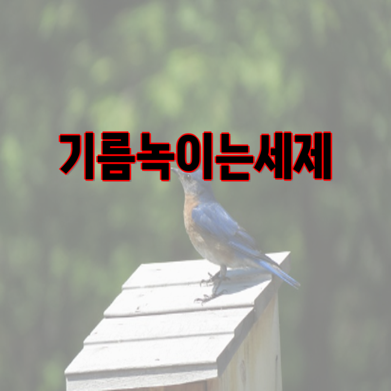 기름녹이는세제 비교분석| 스피드뱅, 탐사펑, 허브크린, 버블스토리, 에코지키미 | 배관 유지....