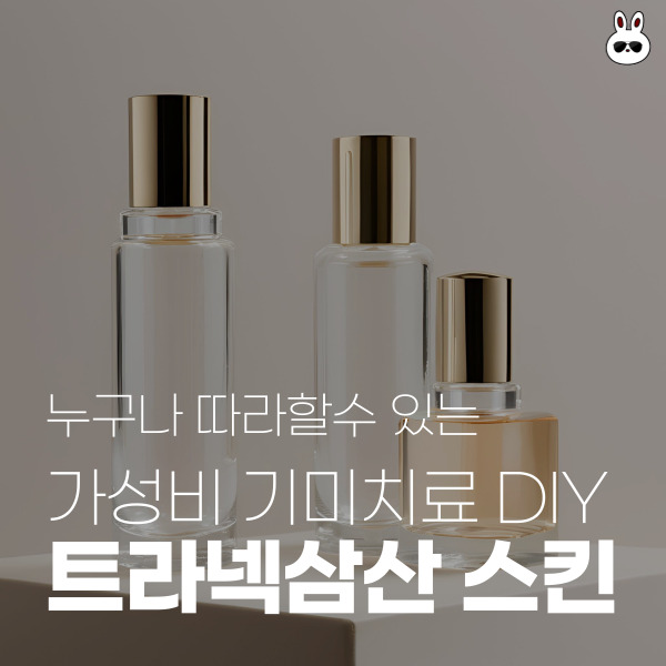  내돈내산 누구나 따라 할 수 있는 가성비 기미치료 DIY트라넥삼산 스킨