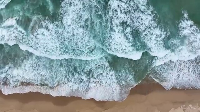  대전 사회복지자격증 , 사회복지사 조건이 안돼도 독학으로 간편하게