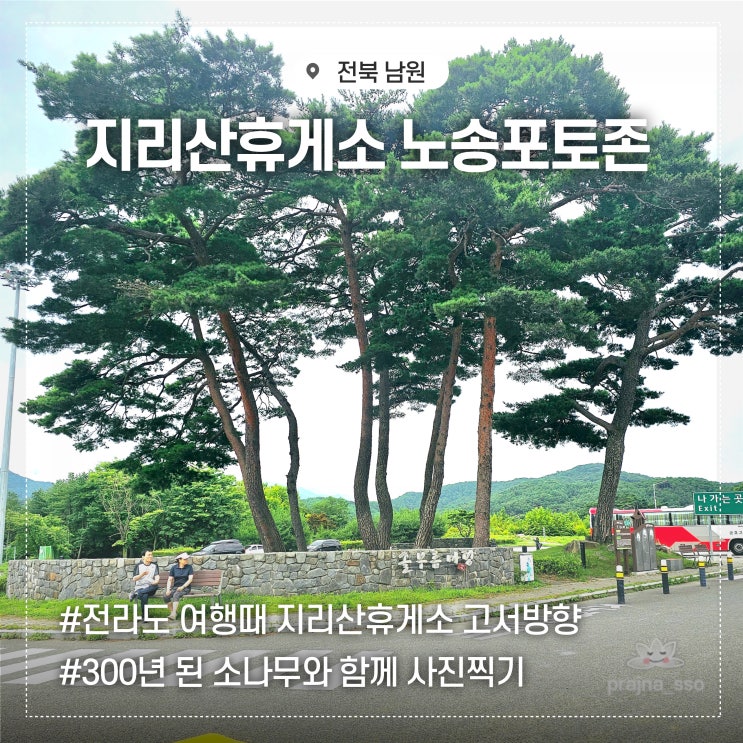  여름에 시원한 지리산휴게소 300년 노송 포토존 솔부름마당 방문기
