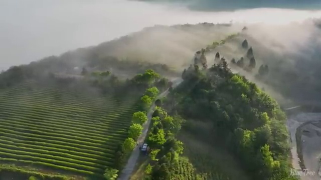  원주 사회복지사2급 직장인도 인강으로 수월하게