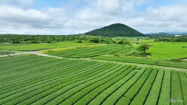  광해방지기사 시험응시조건 학점은행제로 5달만에 끝낸 후기