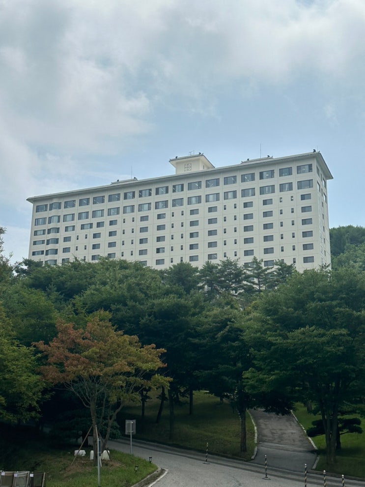  민사고 영어 캠프 GLPS (여름, 겨울) 후기
