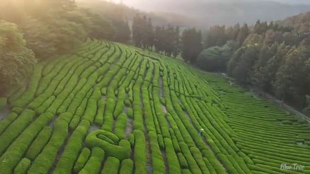  전주 사회복지 공무원시험자격 사회복지사2급 대학진학없이 학은제로 쉽고 빠르게