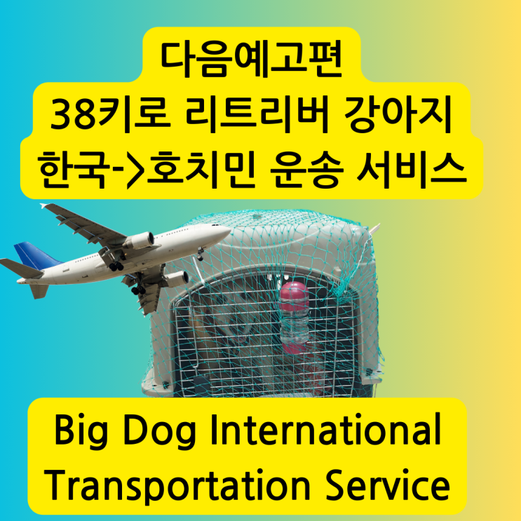  대형견 강아지 고양이 해외운송 국제 운송 반려견 반려묘 반려동물 검역대행 서비스