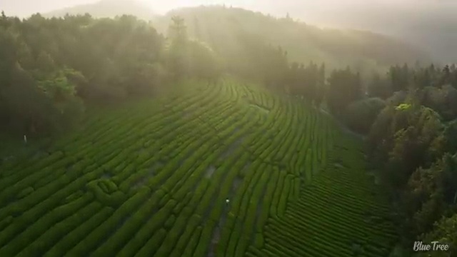  대전 2급사회복지사자격증취득방법 . 사회복지사 비전공자도 인강으로 편하게