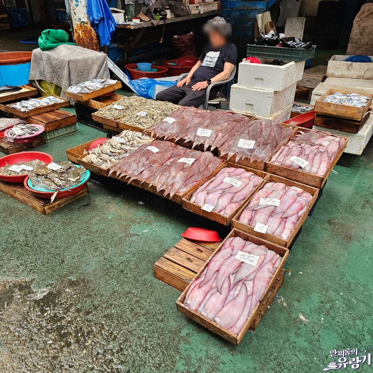  여수 중앙 선어시장 저렴한 가성비 좋게 해산물 구매하기 좋은 곳