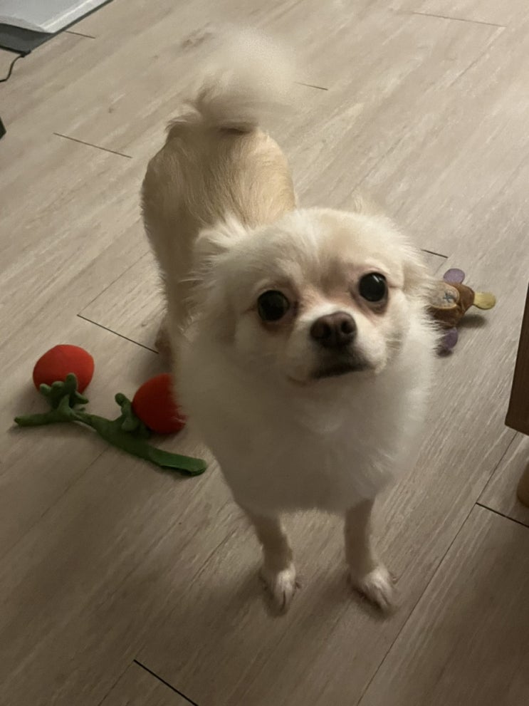  7월 운동은 힘들고 세상에 맛있는건 너무 많아