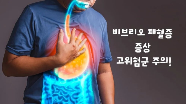  비브리오 패혈증 감염원인 감염증상 치료 예방법