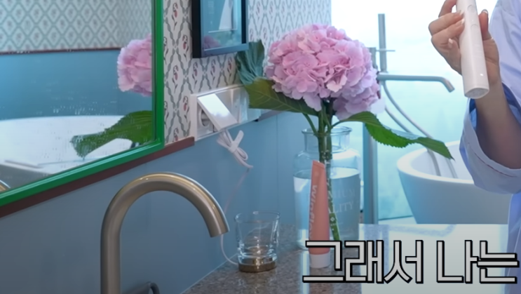  최화정 치약 동국제약 원플렉스 핑크치약 정보