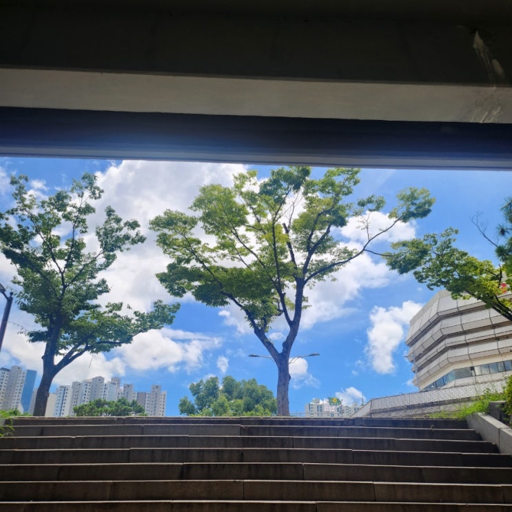  여름 주간일기
