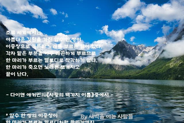 .......조류 .......조류