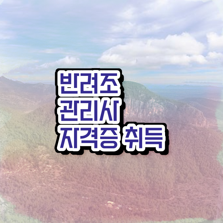  왕관 앵무새 키우기 , 반려조관리사 자격증 합격정보 알려드립니다
