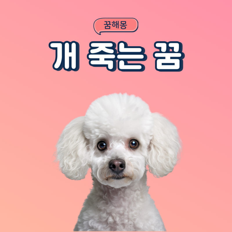 개가 죽는꿈 강아지 죽는꿈 죽은개꿈 개죽이는꿈
