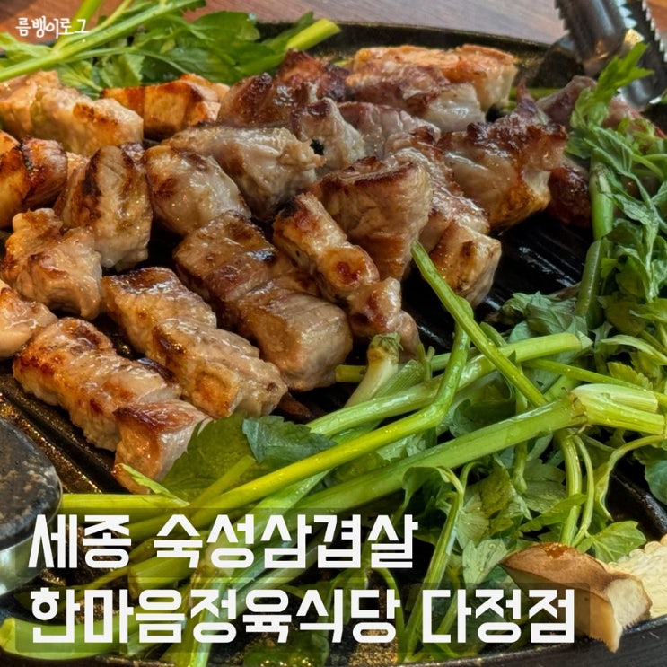  키즈 놀이방 있는 다정동 세종고기집 한마음정육식당 숙성 삼겹살
