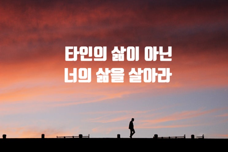  타인의 삶이 아닌 너의 삶을 살아라