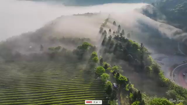  사회복지사학원 , 사회복지사 직장인도 학점은행제 인강으로 쉽고 빠르게
