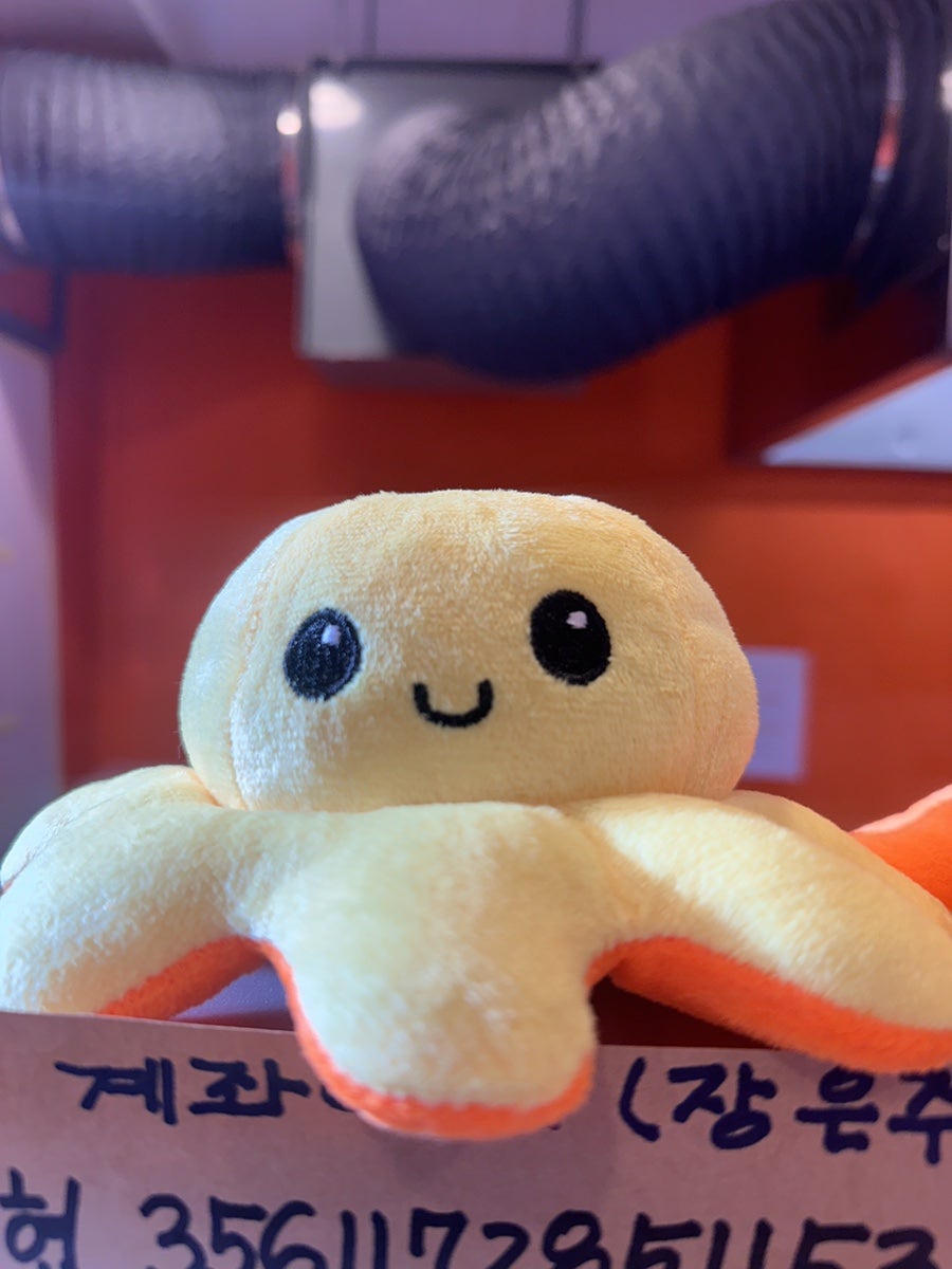 타코비 부산만덕점 사진 1