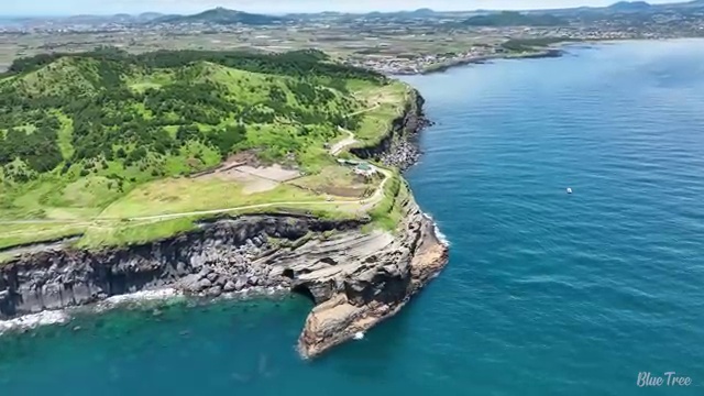  한식조리산업기사 시험 접수 한식조리산업기사 시험응시자격 온라인 수업으로 빠르게 성공한 과정