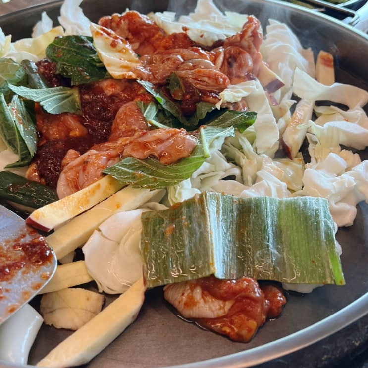  춘천역 닭갈비 닭내장 맛집  통나무집닭갈비2호점