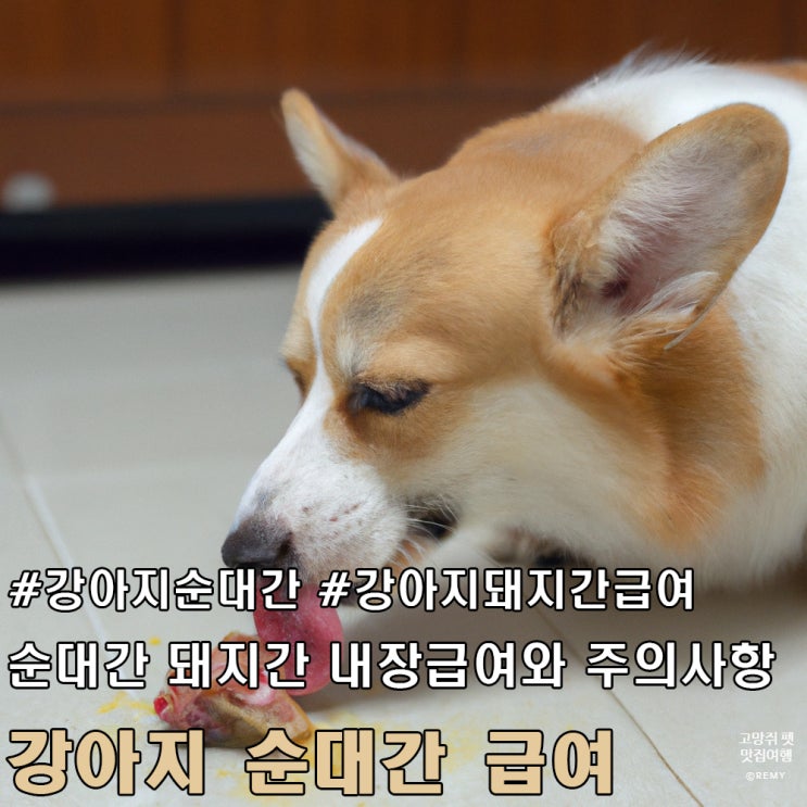  강아지 순대 간 돼지 간 내장 급여와 주의사항.