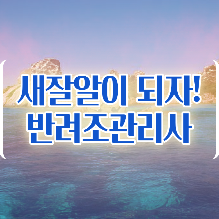  회색 앵무새 수명 , 반려조관리사 자격증 단기간에 합격한 비법 및 활용 방법