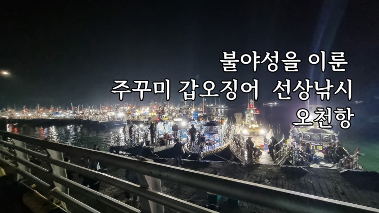  23시즌 주꾸미/갑오징어 선상낚시 오천항 나폴레옹호 / 23.09.23