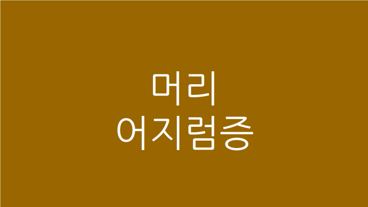  머리어지럼증 피로 원인과 치료